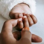 pexels william fortunato 6393346 scaled e1770837610593