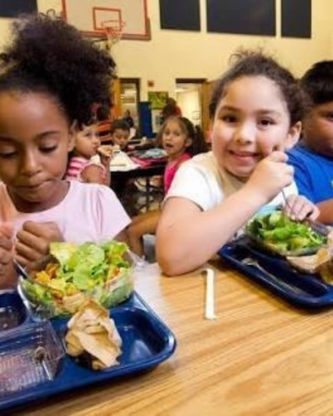 Free meals for children in raleigh and wake county